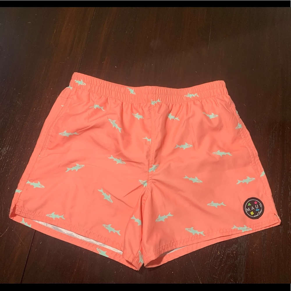 NWT men’s Pacsun bathing suit